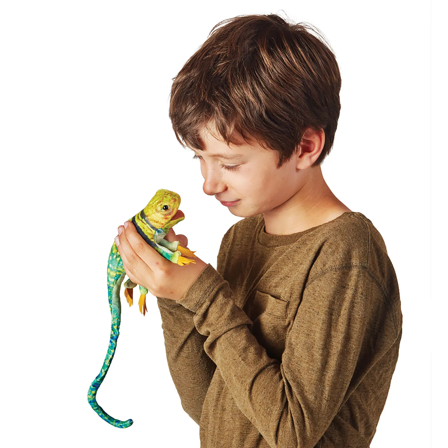 Mini Collared Lizard / Mini Eidechse Mini Collared Lizard / Mini Eidechse-Folkmanis® Puppets
