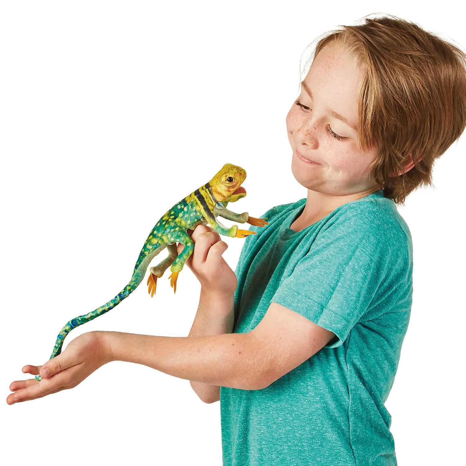 Mini Collared Lizard / Mini Eidechse Mini Collared Lizard / Mini Eidechse-Folkmanis® Puppets