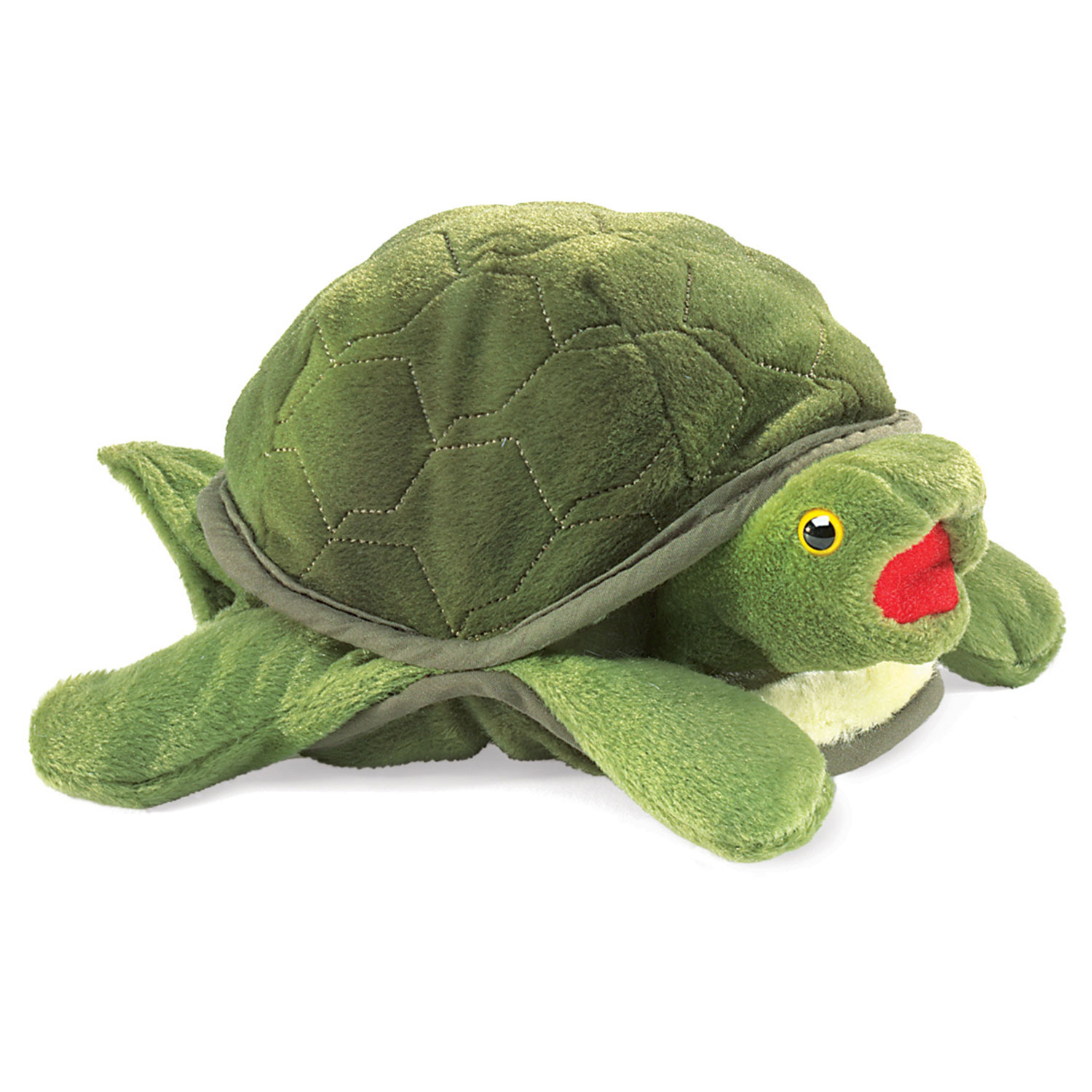 Kleine Schildkröte / Baby Turtle