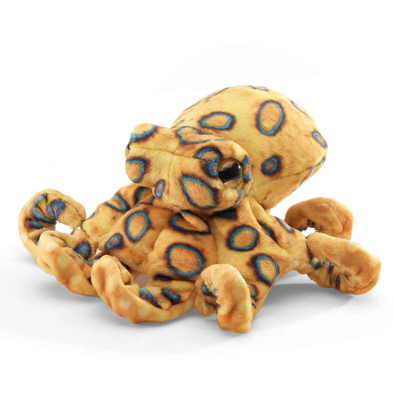 Mini Blue-ringed  Octopus