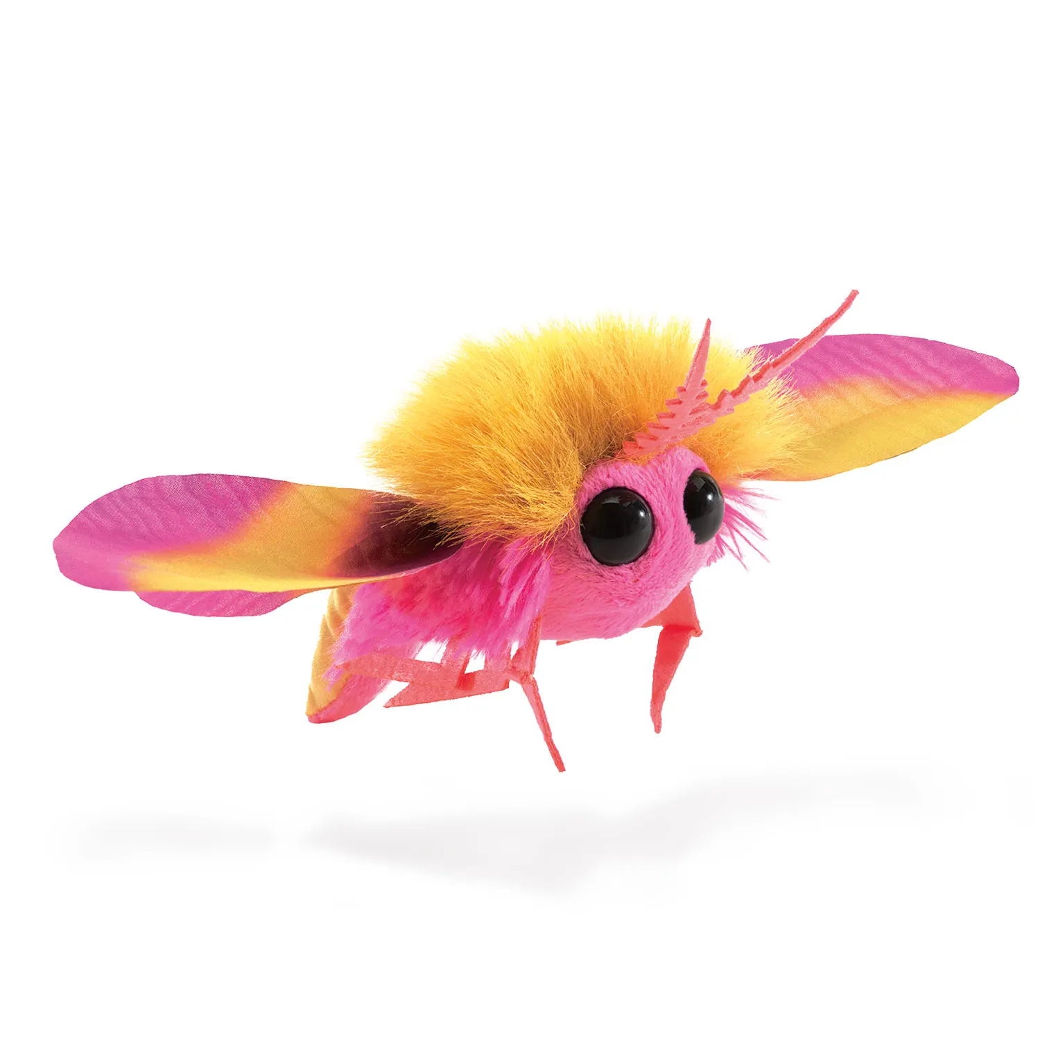 Mini Rosa Ahornmotte / Mini Rosy Maple Moth