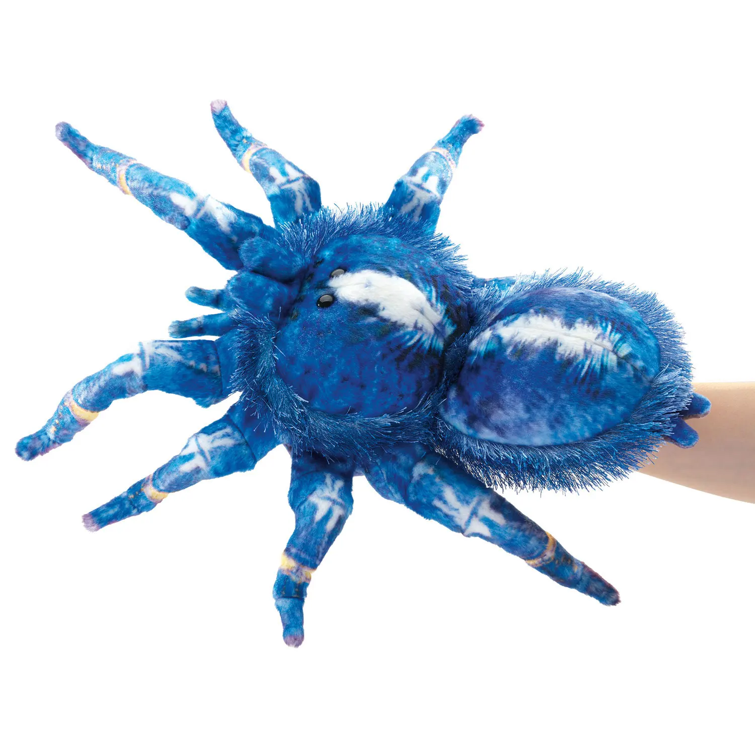 Blue Tarantula / Blaue Vogelspinne-Folkmanis® Puppets