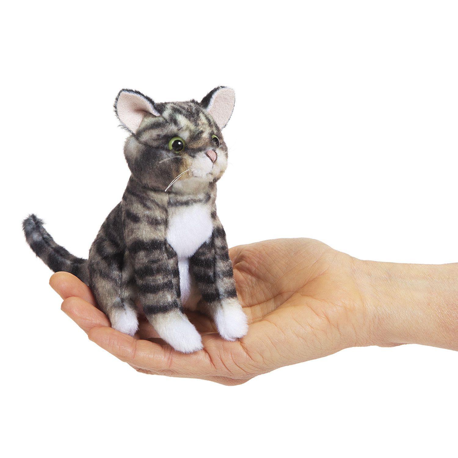 Mini Kätzchen / Mini Tabby Cat