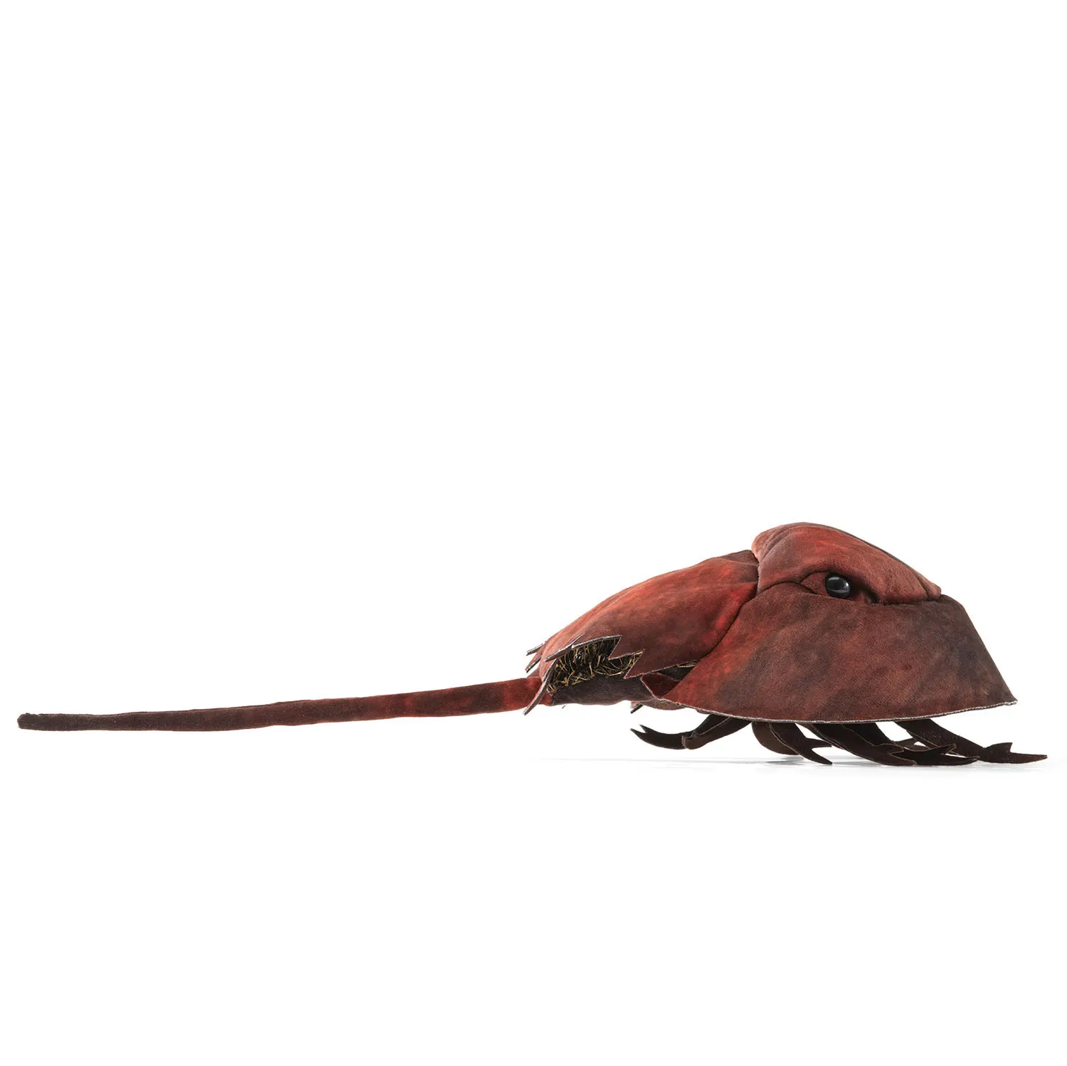 Horseshoe Crab / Pfeilschwanzkrebs-Folkmanis® Puppets