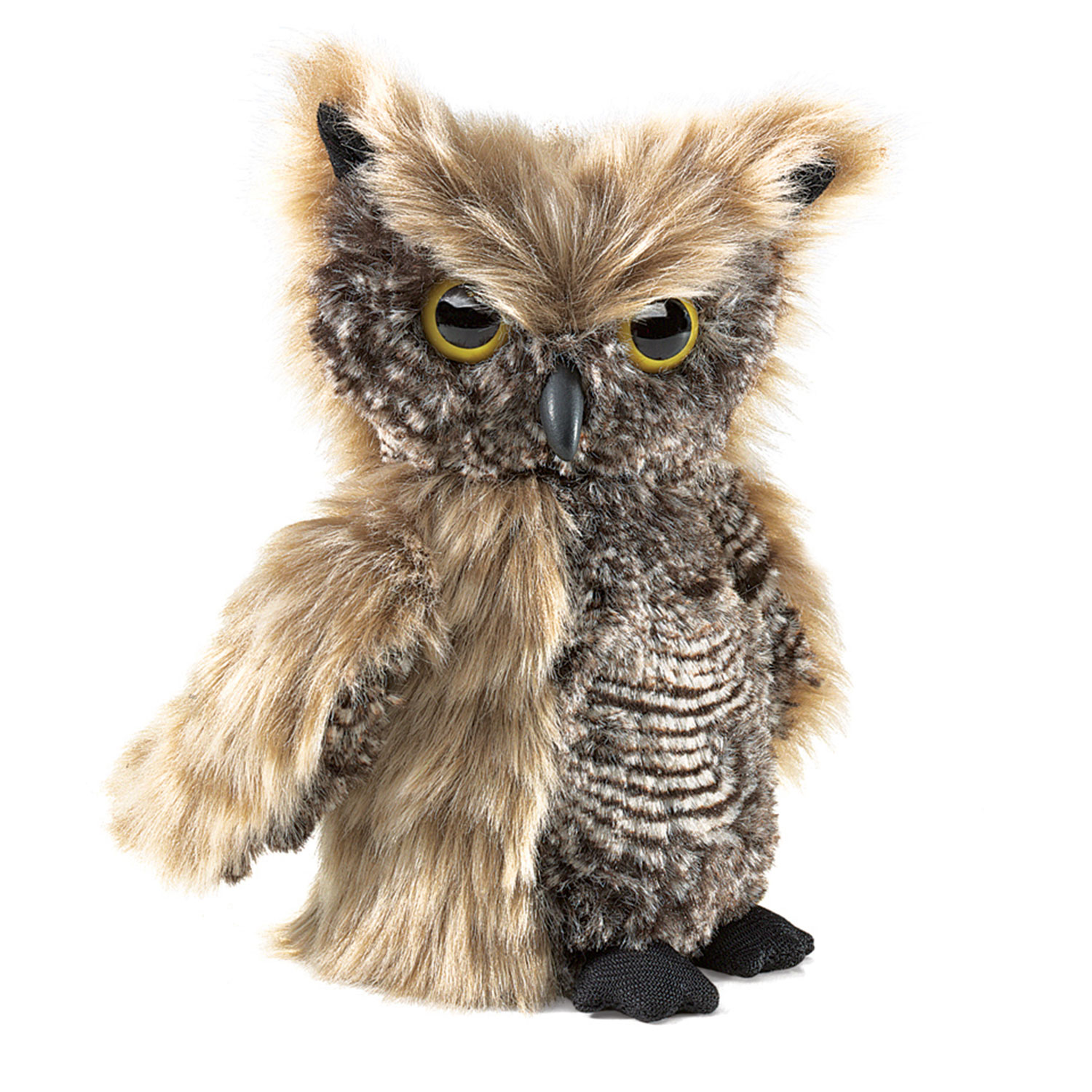 Kreisch-Eule / Screech Owl
