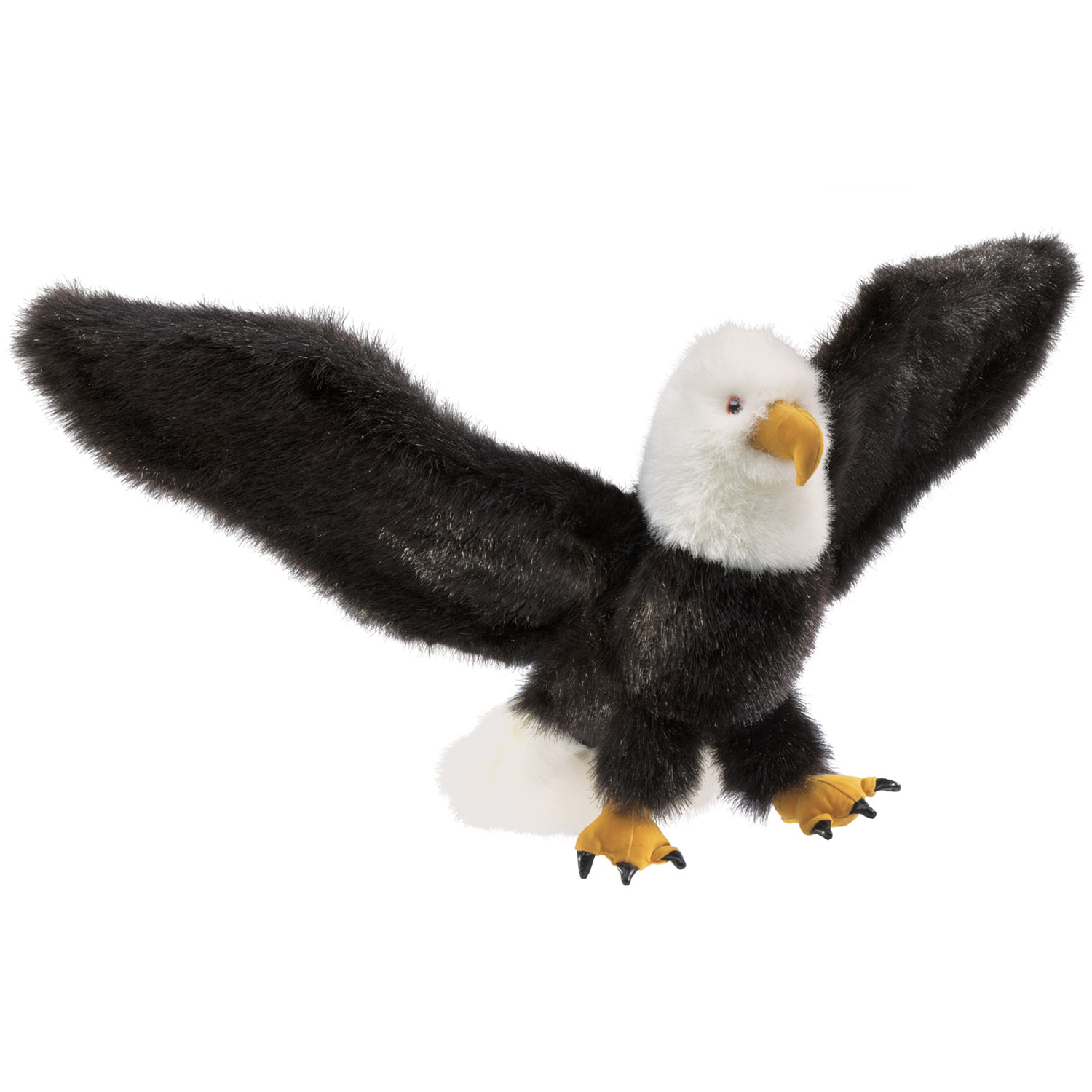 Adler / Eagle
