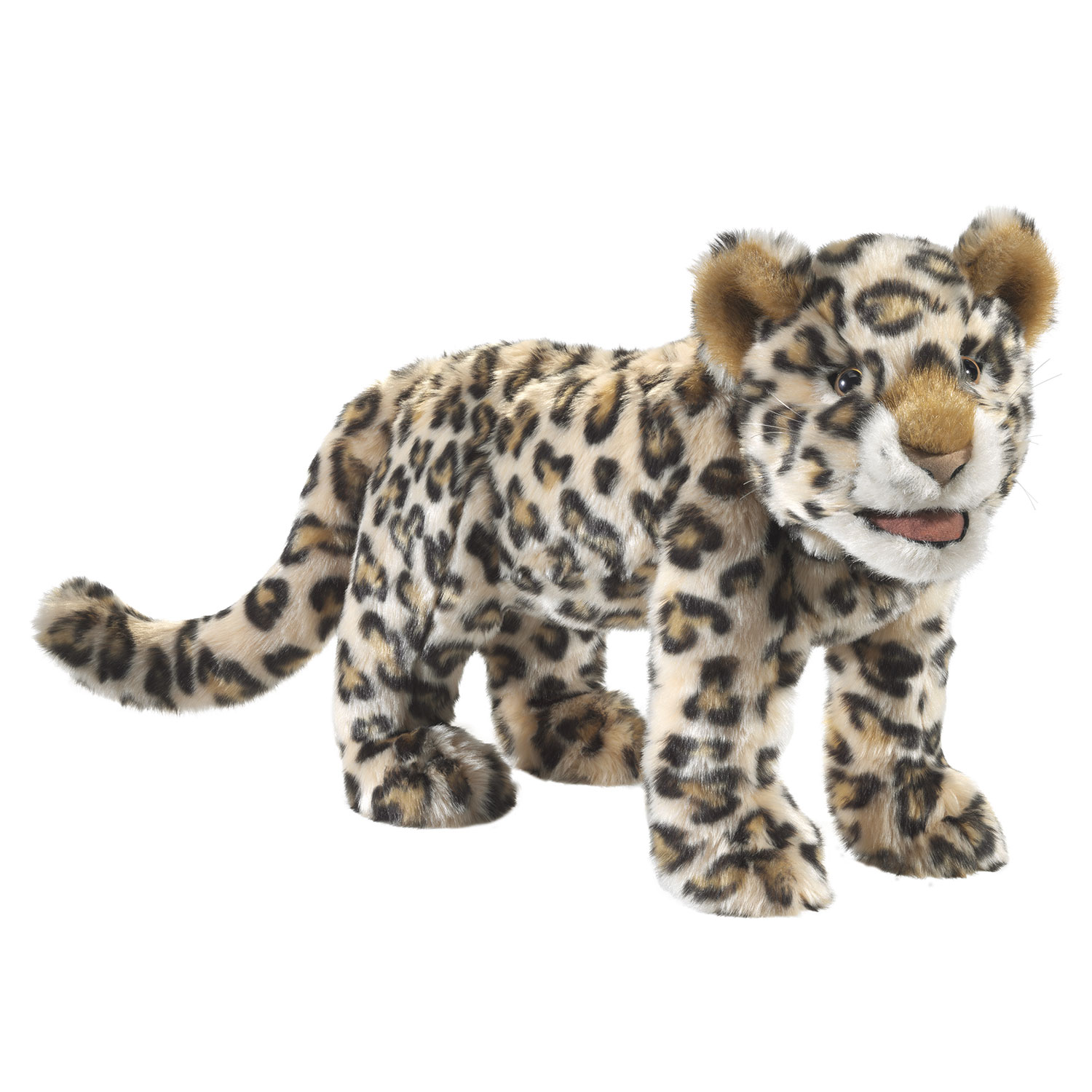 Leoparden-Baby / Leopard Cub
