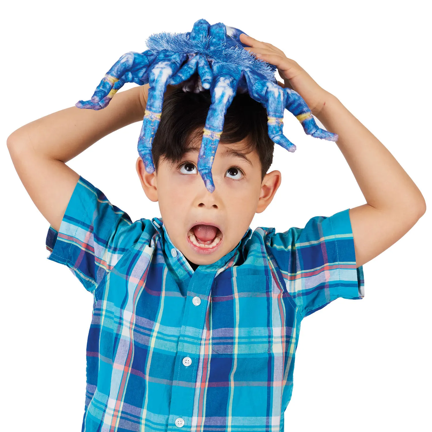 Blue Tarantula / Blaue Vogelspinne-Folkmanis® Puppets