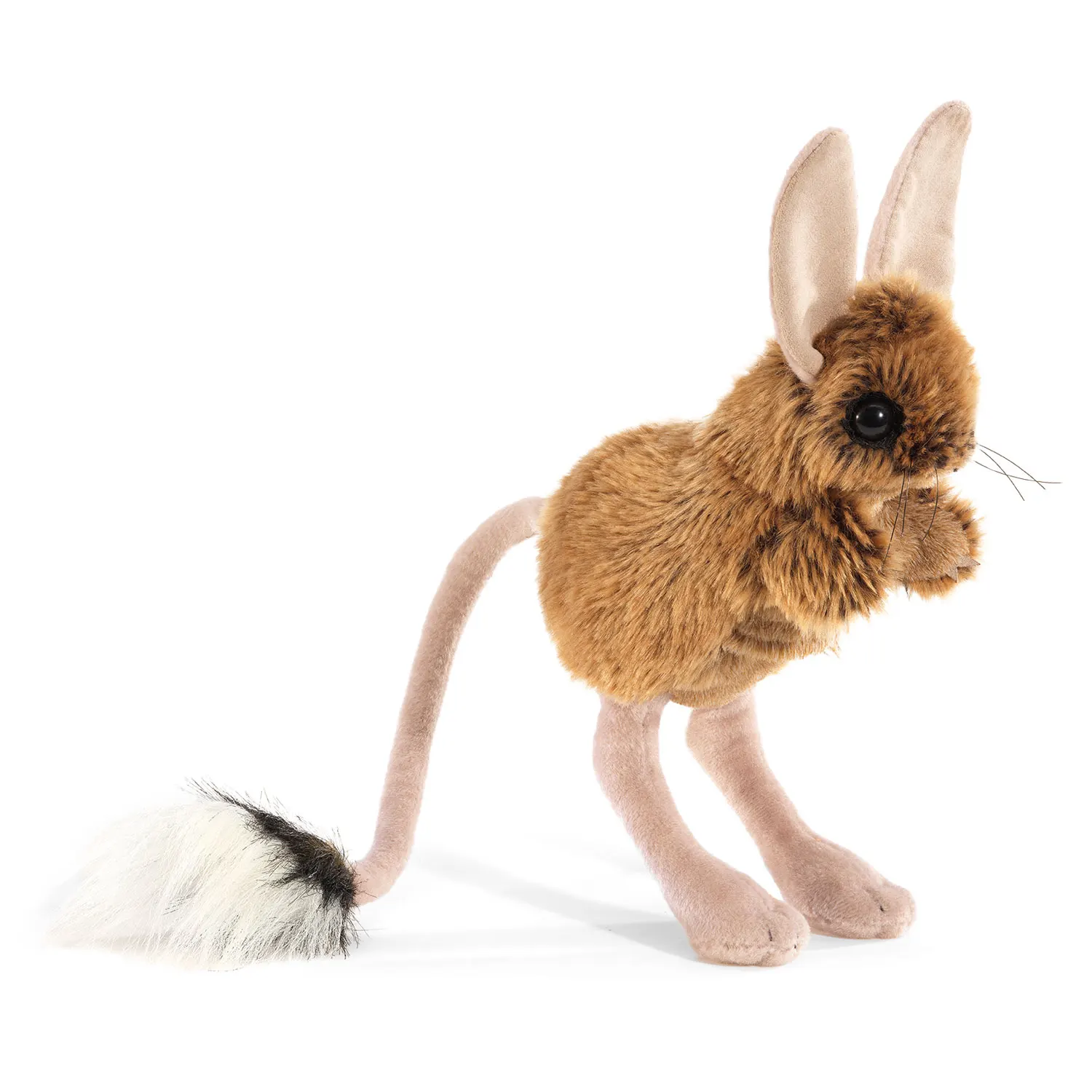 Jerboa / Springmaus