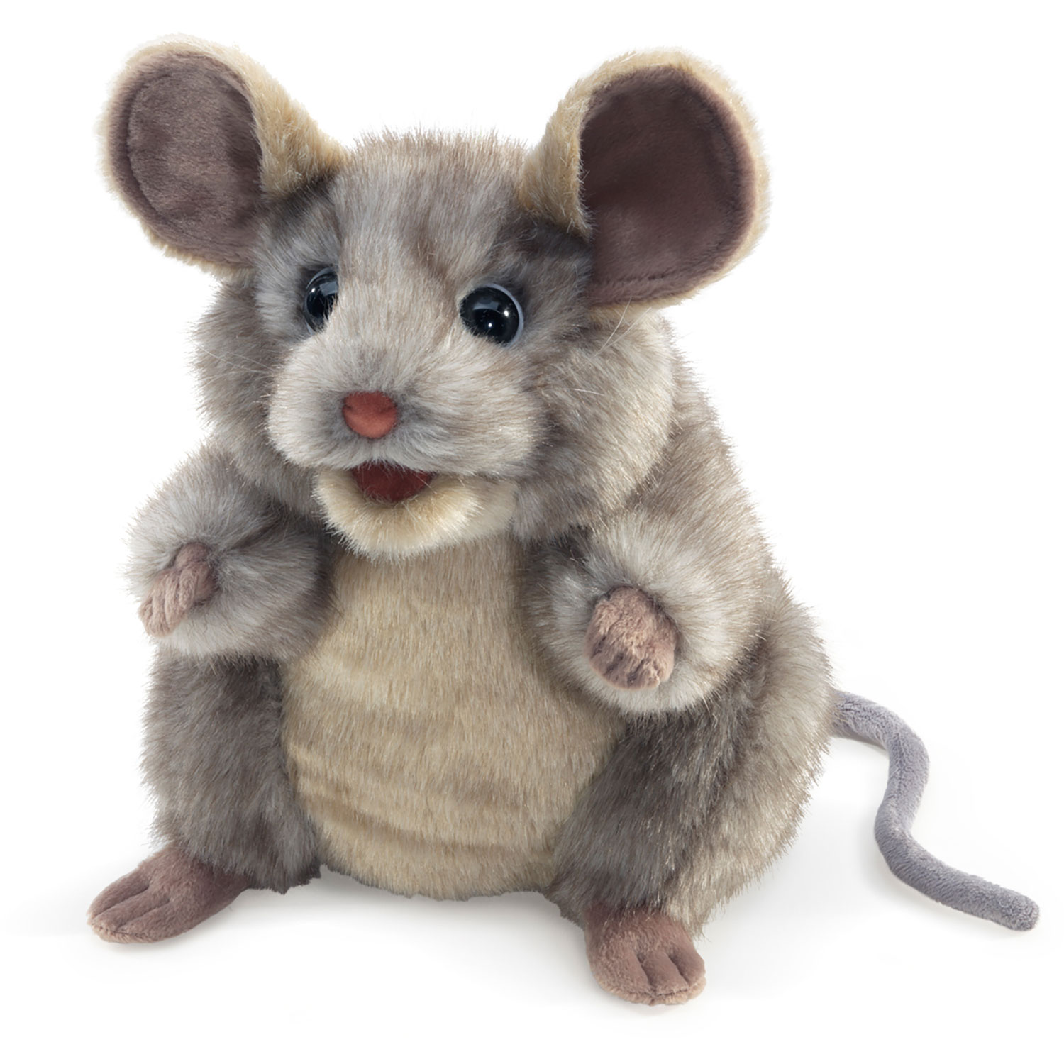 Graue Maus / Grey Mouse