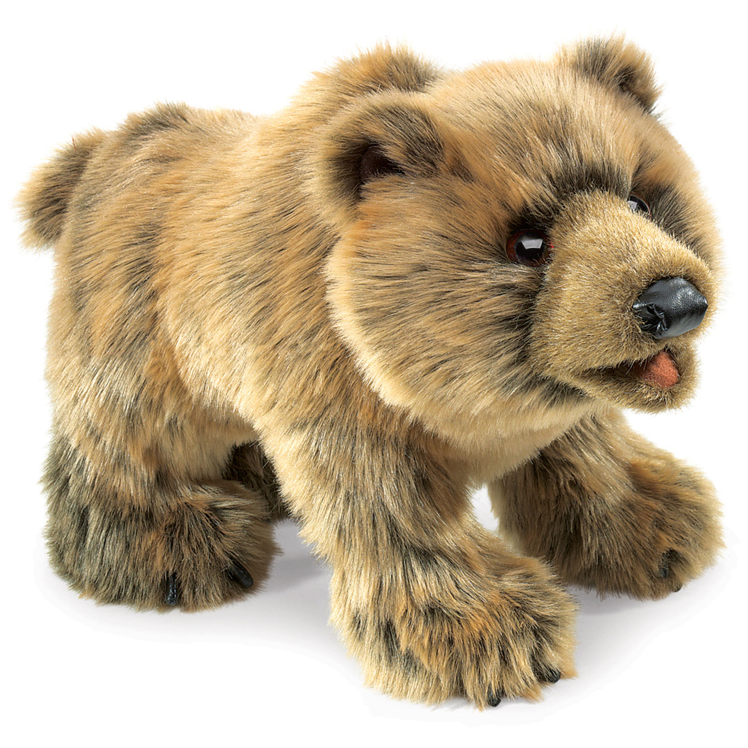 Grizzlybär / Grizzly Bear