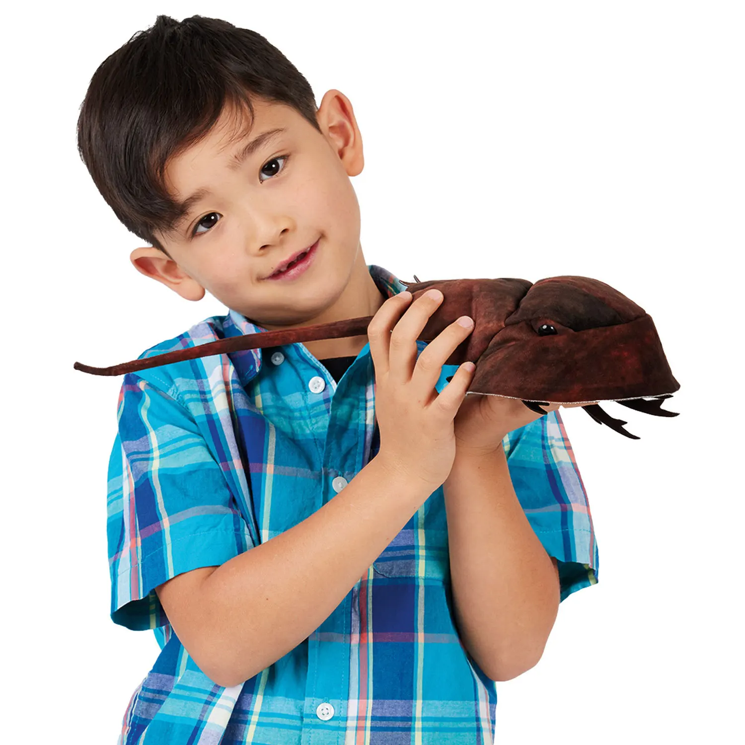 Horseshoe Crab / Pfeilschwanzkrebs-Folkmanis® Puppets