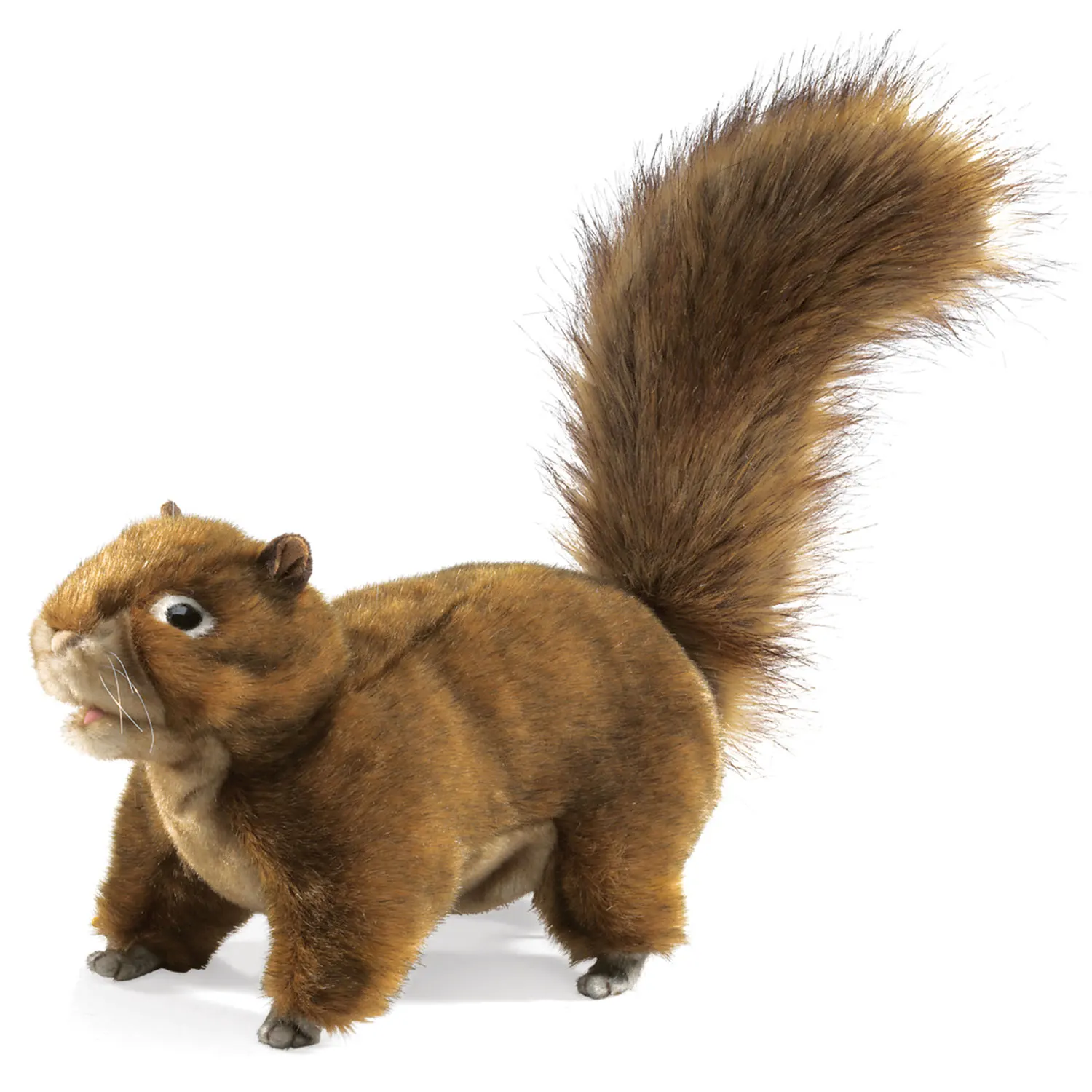 Eichhörnchen / Red Squirrel-Folkmanis® Puppets