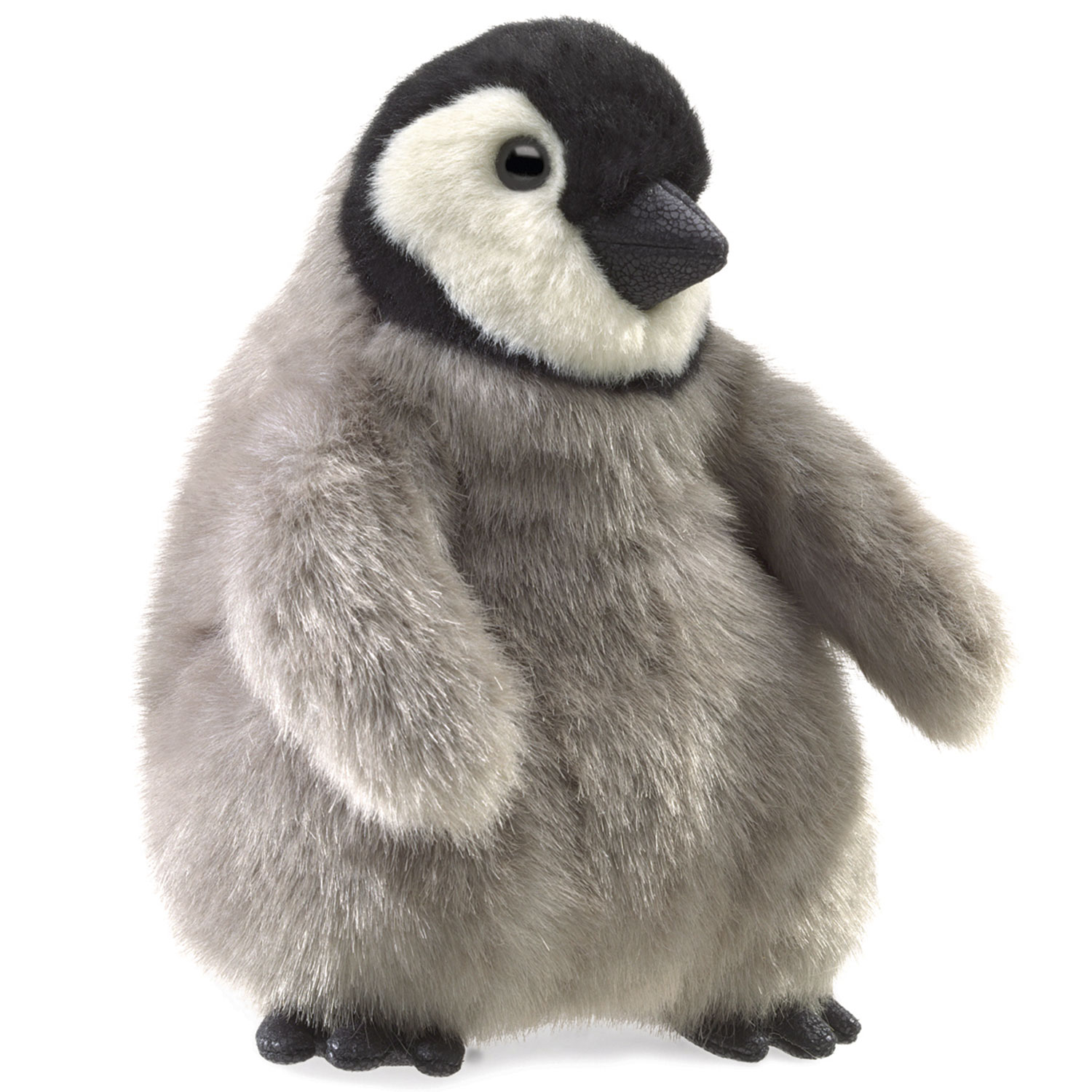 Baby Kaiserpinguin / Baby Emperor Penguin