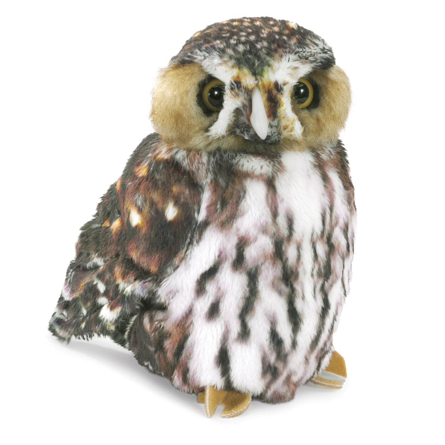Pygmy Owl / Sperlingskauz