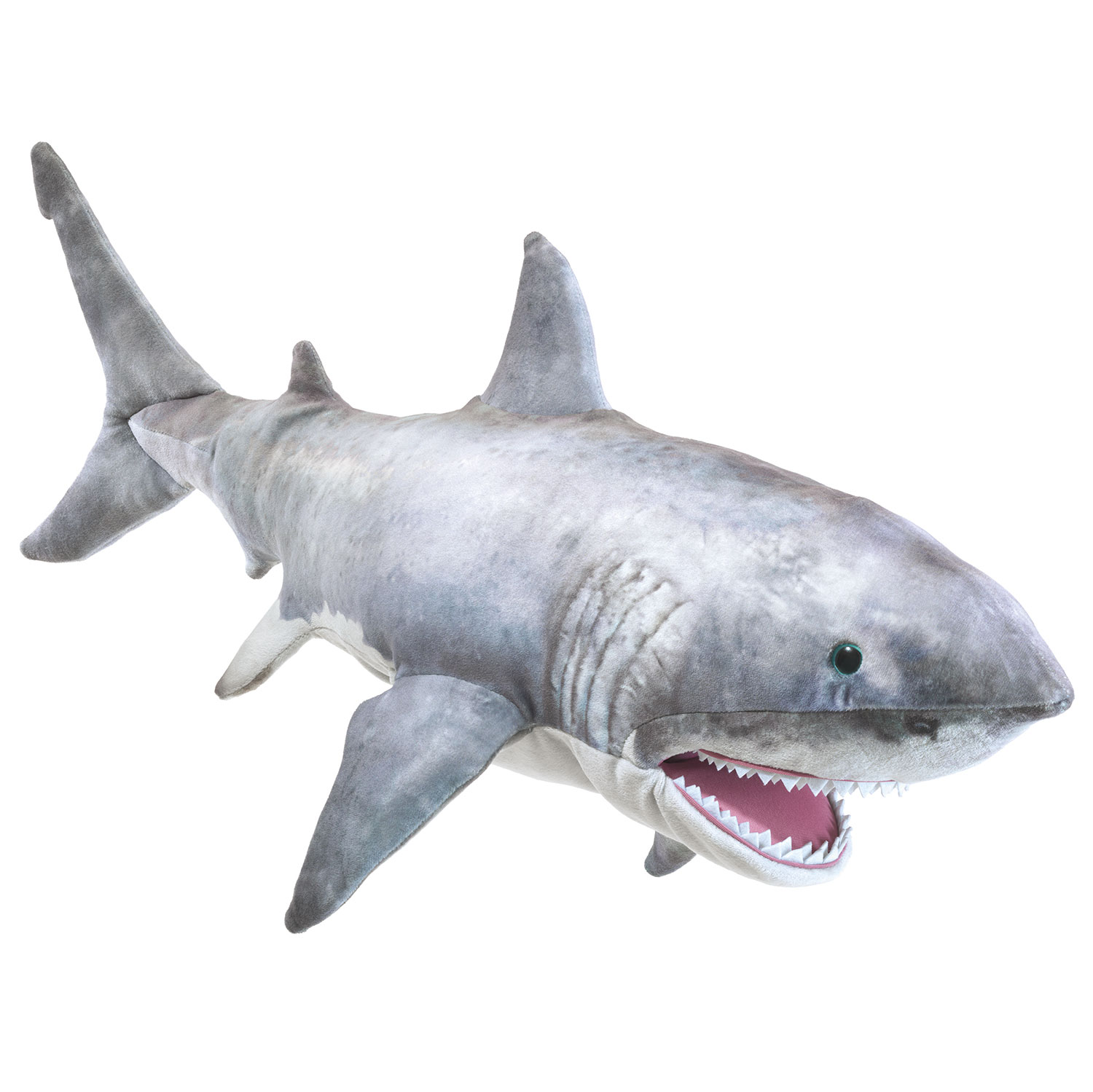 Weißer Hai / Great white shark