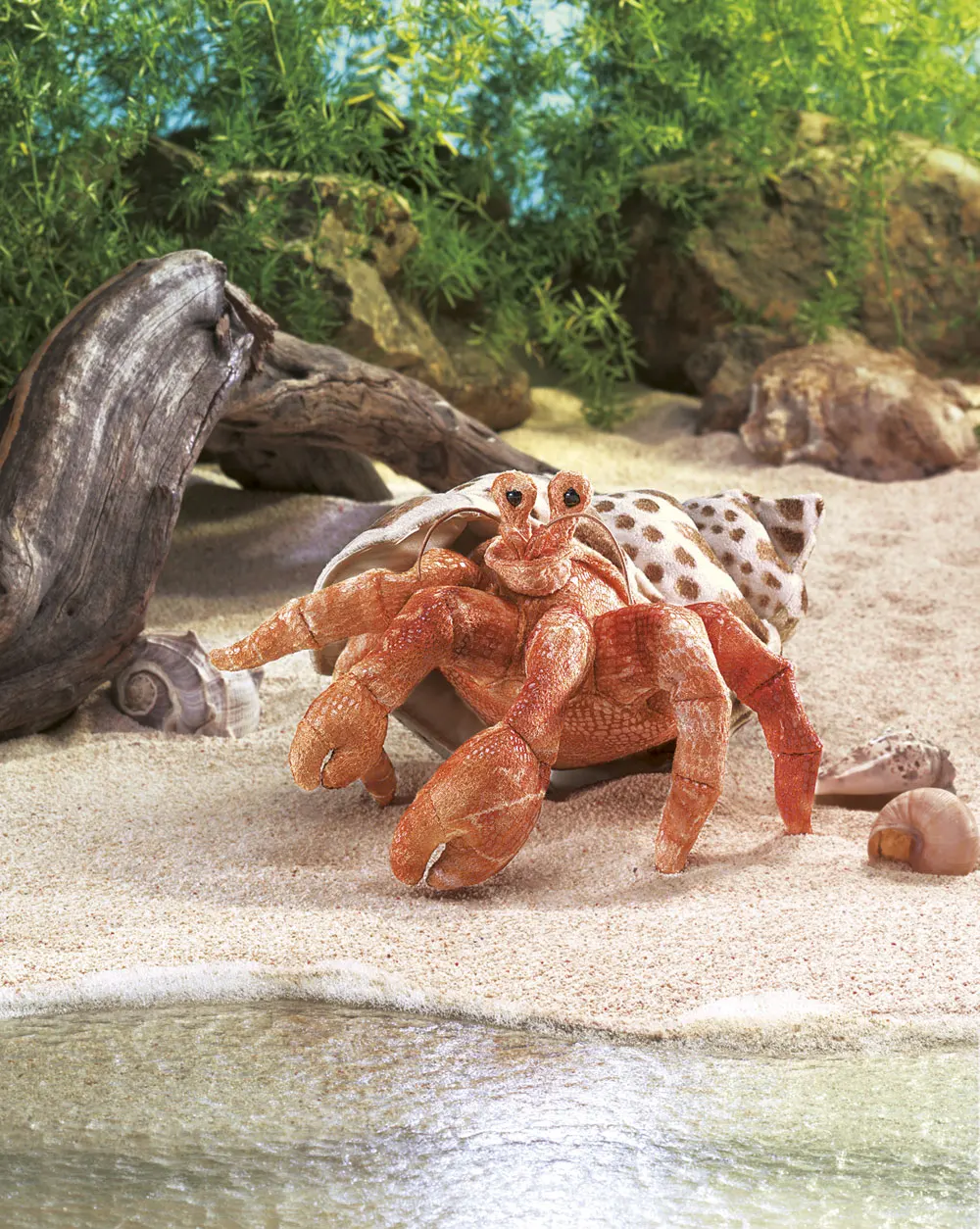 Einsiedlerkrebs / Hermit Crab Einsiedlerkrebs / Hermit Crab-Folkmanis® Puppets