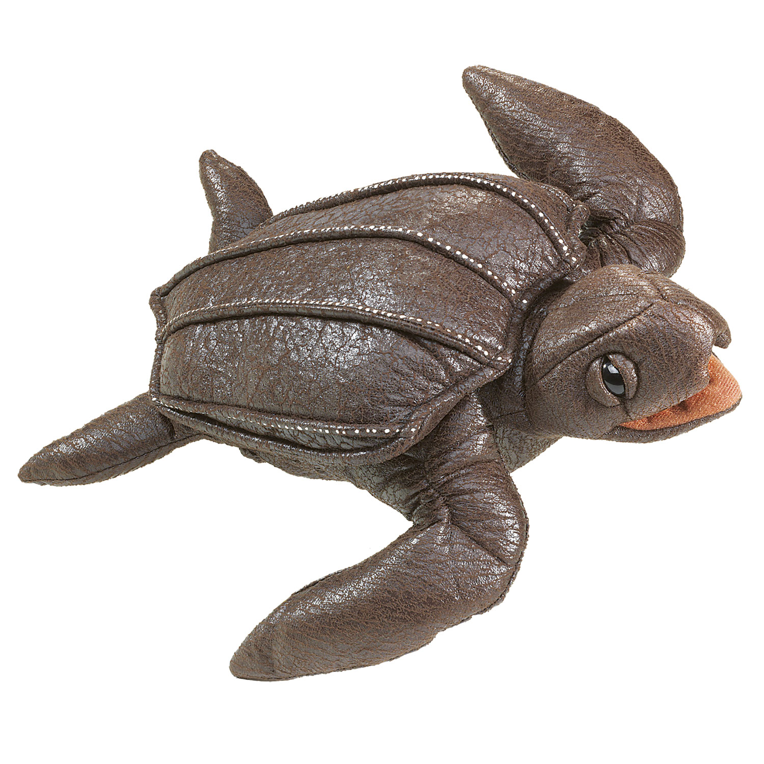 Lederschildkröte / Leatherback Sea Turtle