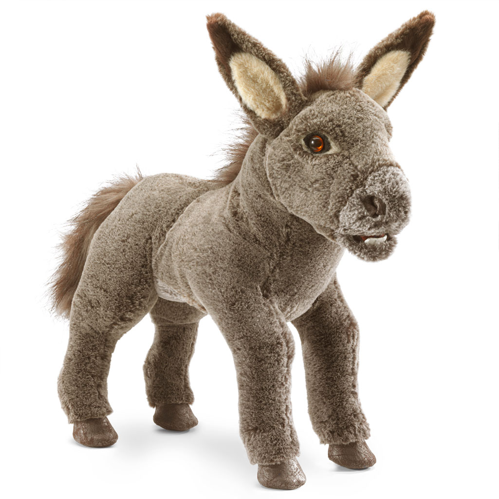 Eselchen / Baby Donkey