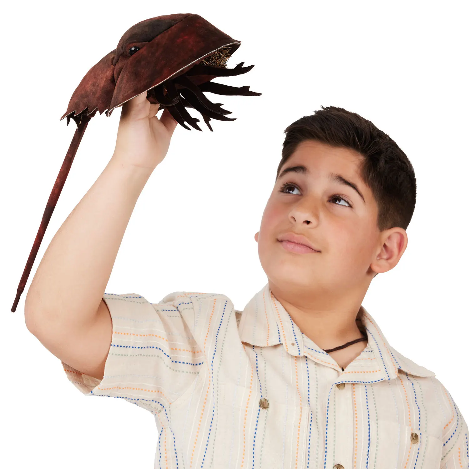 Horseshoe Crab / Pfeilschwanzkrebs-Folkmanis® Puppets
