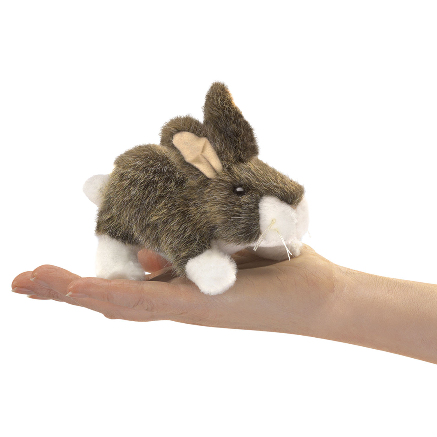 Mini Kaninchen / Mini Cottontail Rabbit