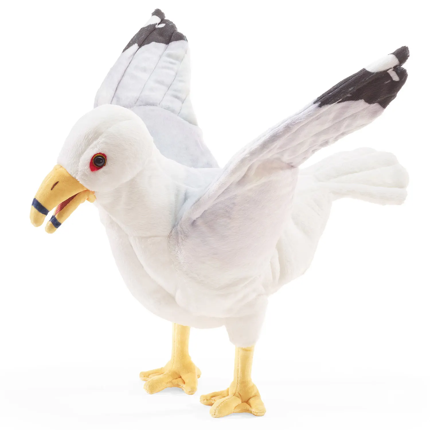 Möwe / Gull Möwe / Gull
