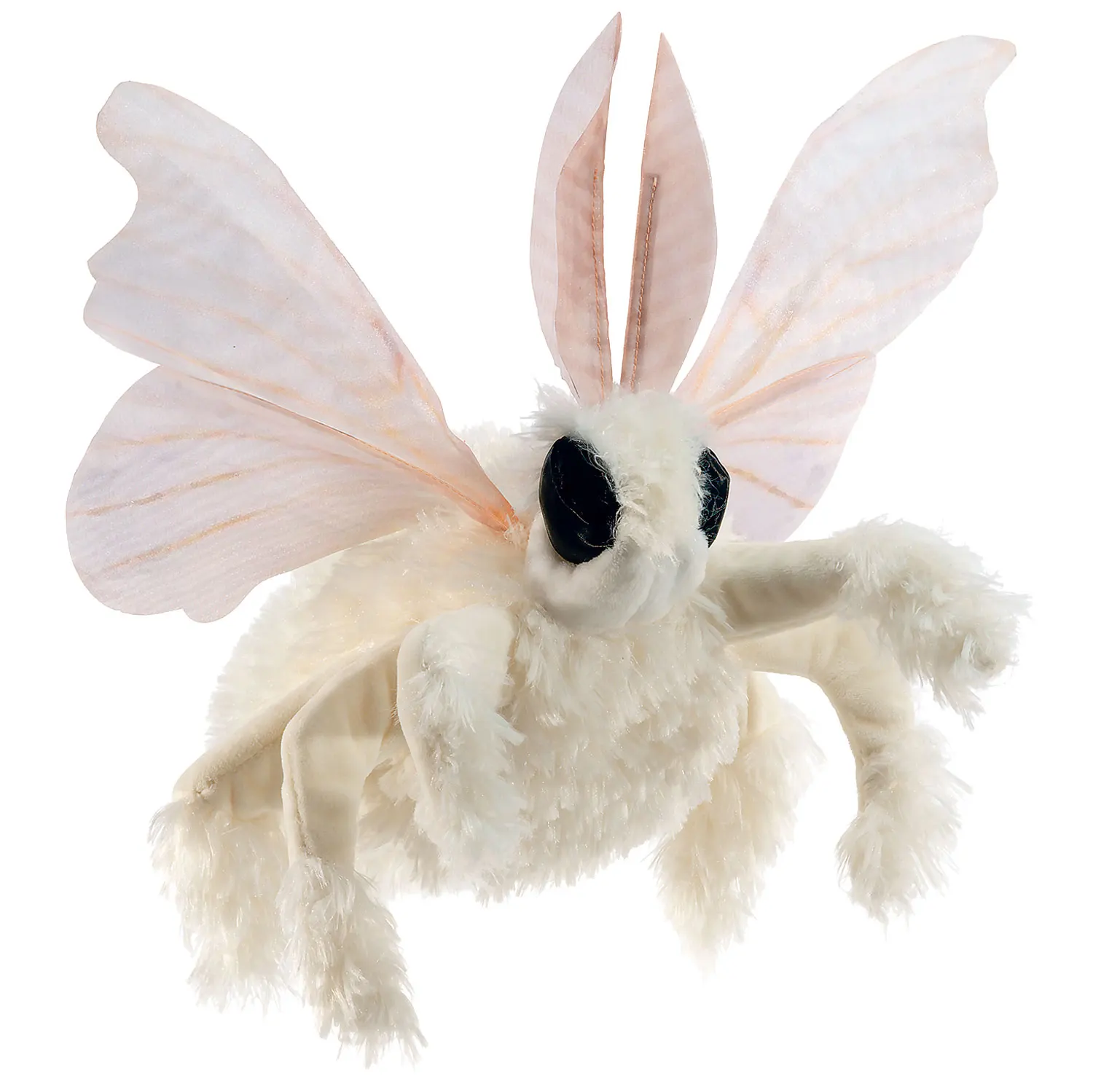 Poodle Moth / Pudelmotte