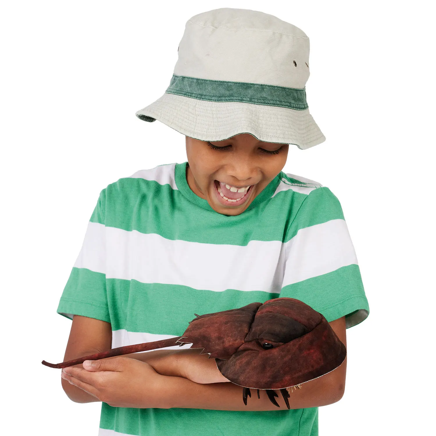 Horseshoe Crab / Pfeilschwanzkrebs-Folkmanis® Puppets