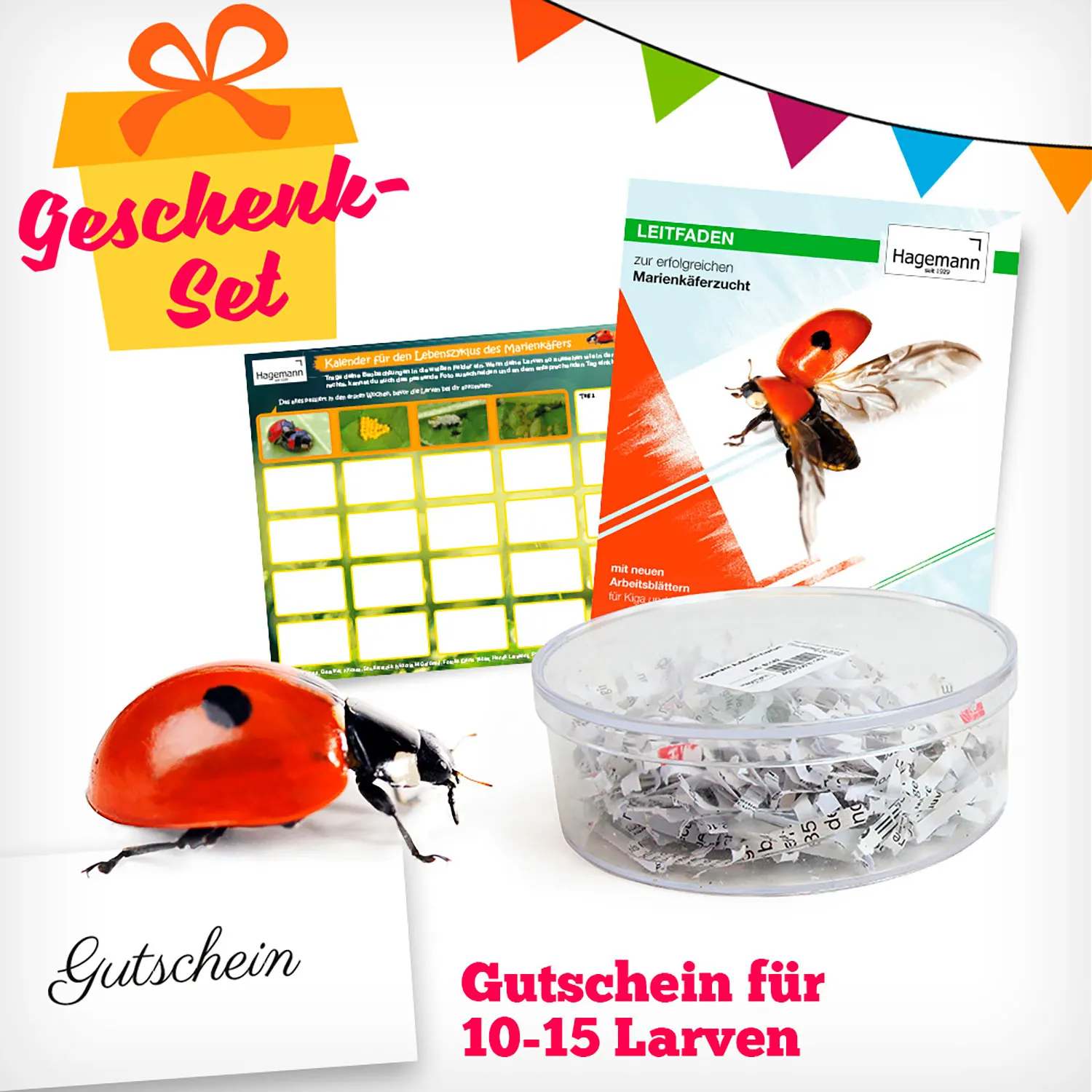 Marienkäfer - Geschenk-Set, Beobachtungs-Set-Hagemann