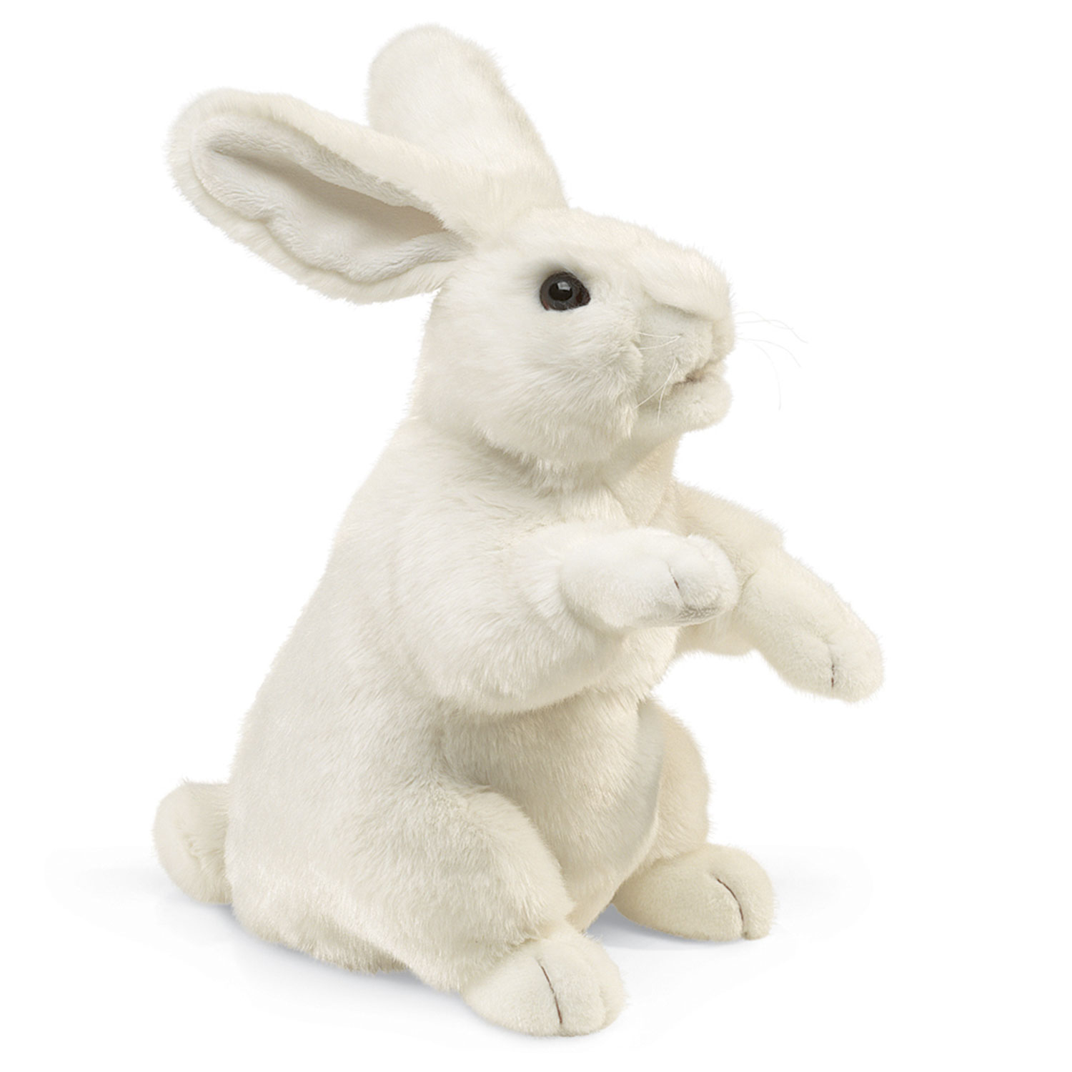 Weißer Hase, stehend / Standing White Rabbit