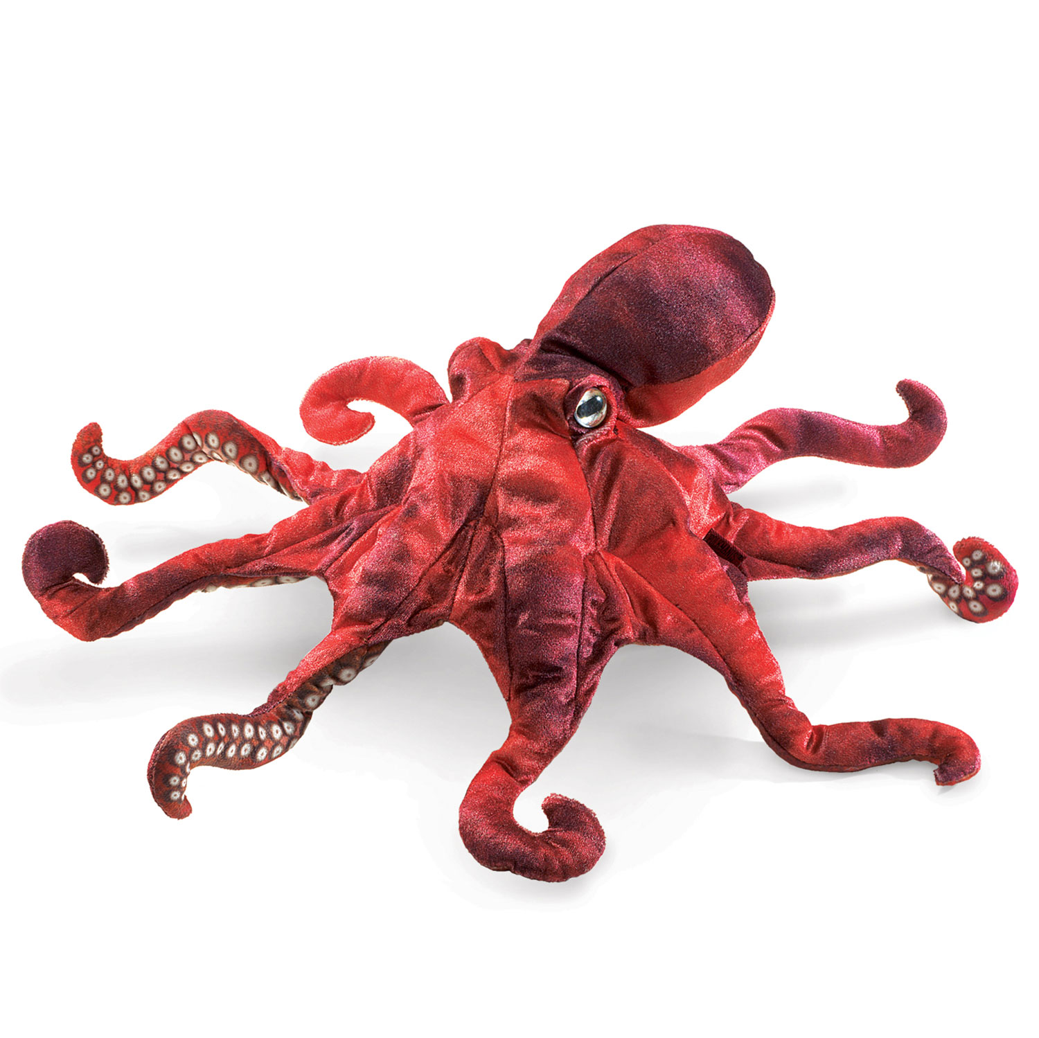 Roter Oktopus / Red Octopus