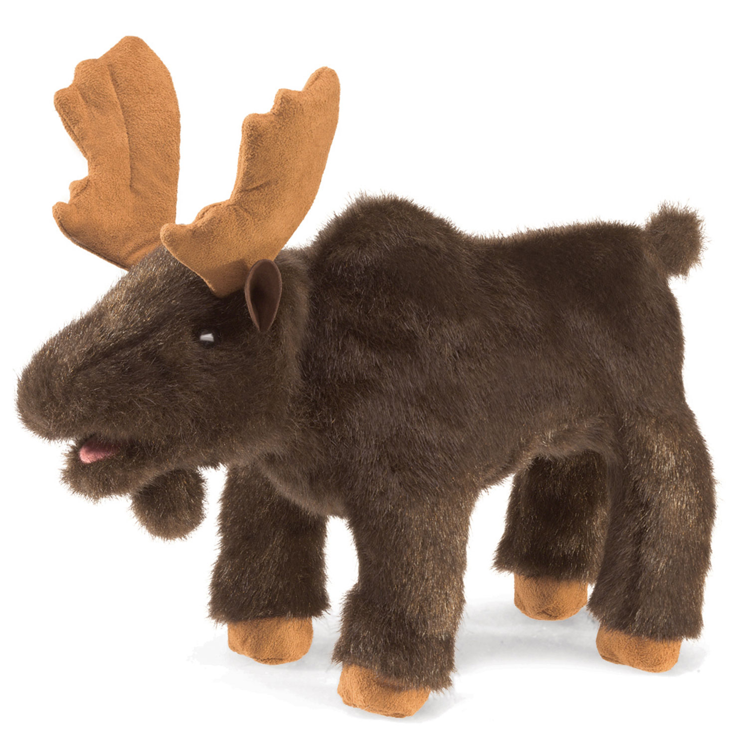 Kleiner Elch / Small Moose