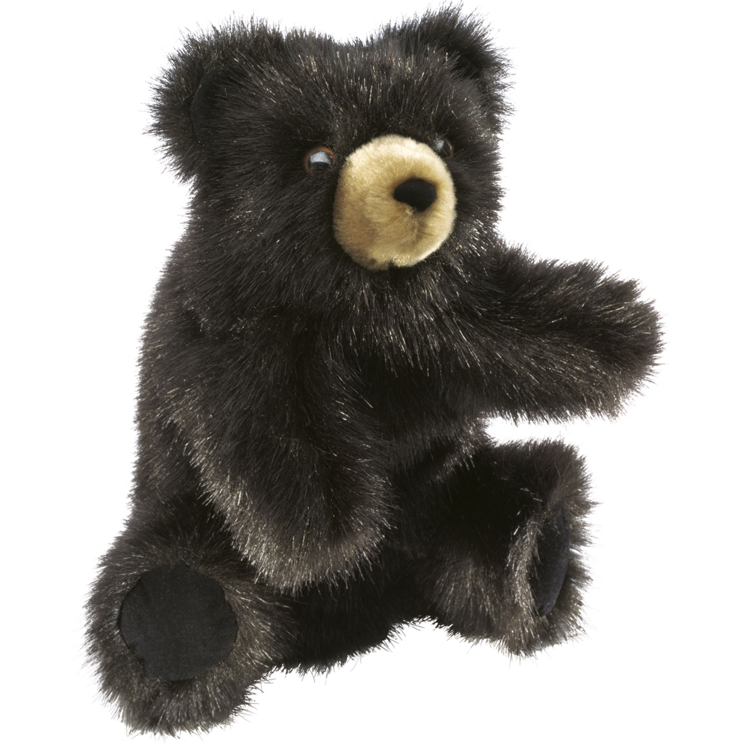 Kleiner dunkelbrauner Bär / Baby Black Bear