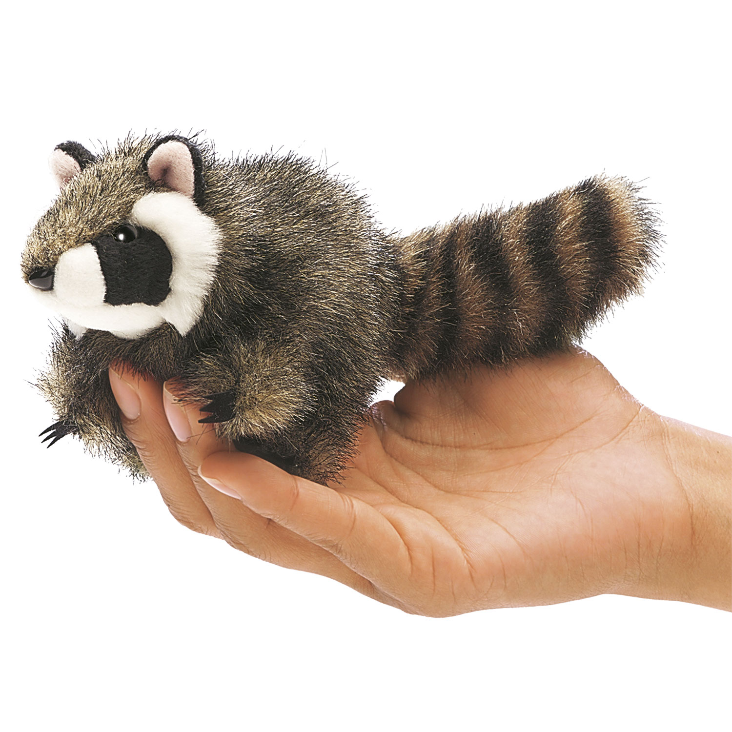 Mini Waschbär / Mini Raccoon