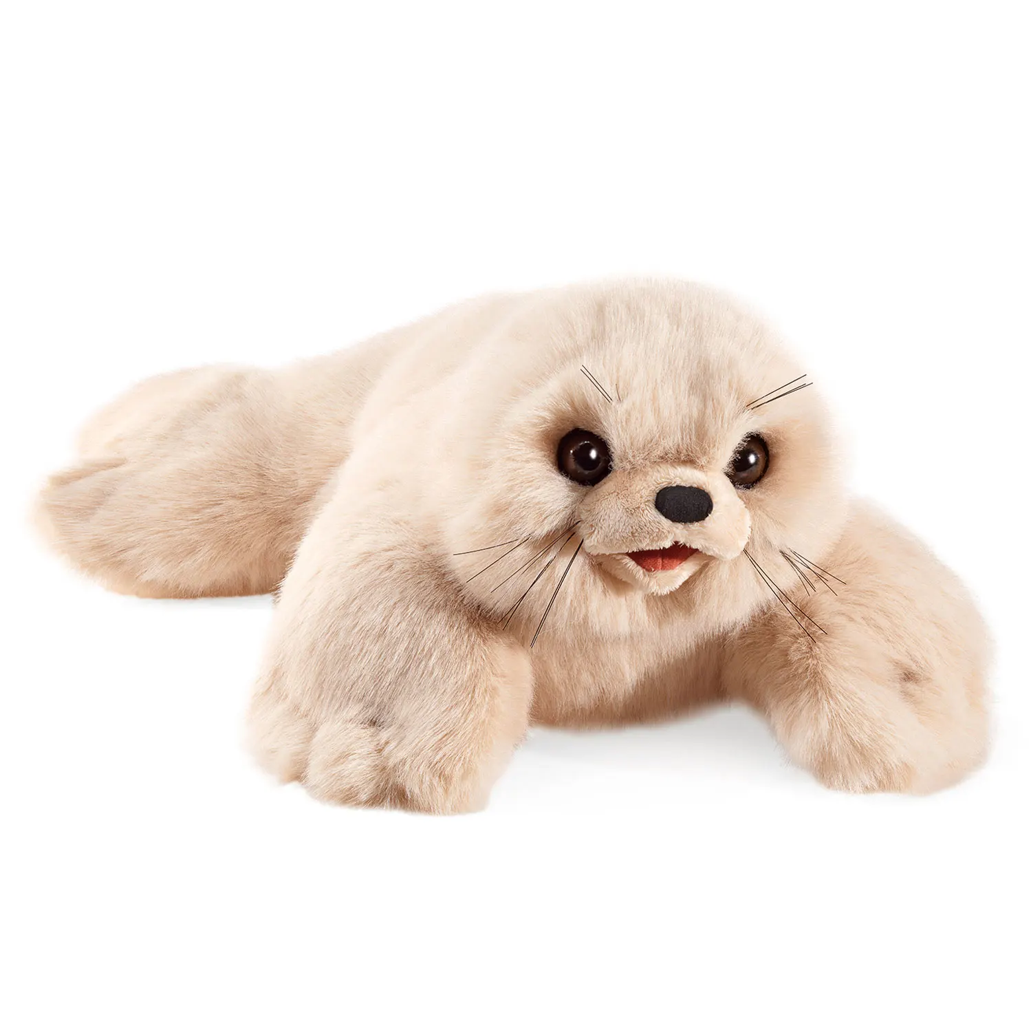 Harp Seal Pup / Robbenbaby Harp Seal Pup / Robbenbaby