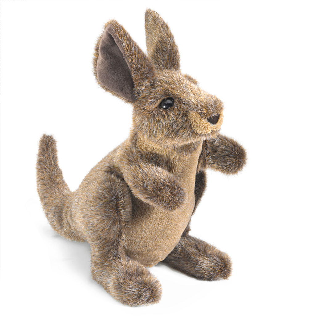 Junges Känguru / Small Kangaroo