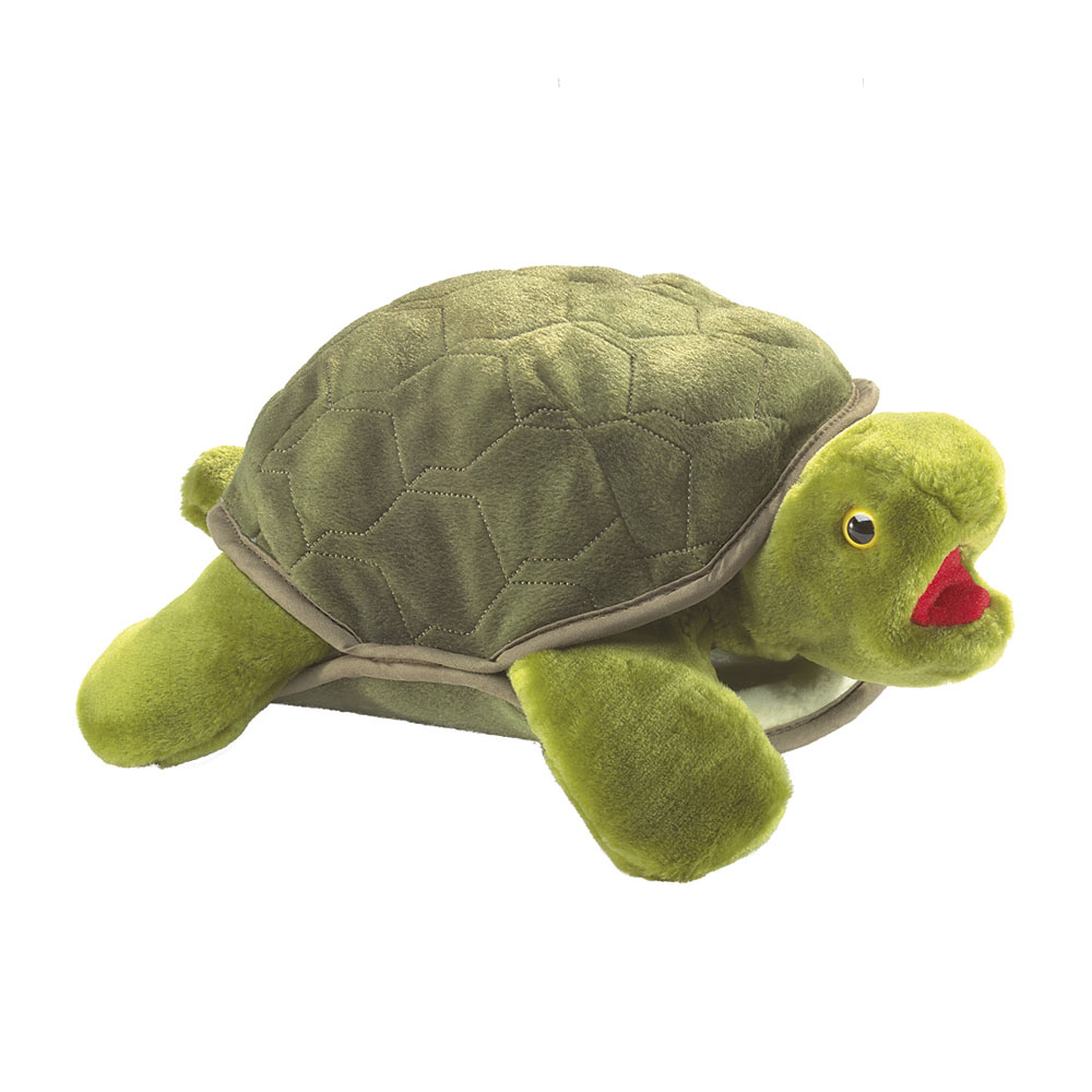 Schildkröte / Turtle