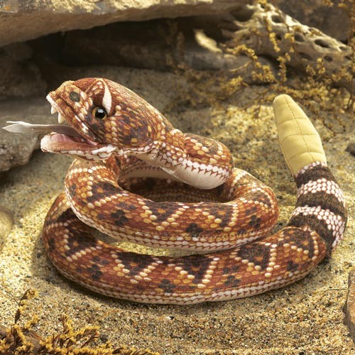 Klapperschlange / Rattlesnake