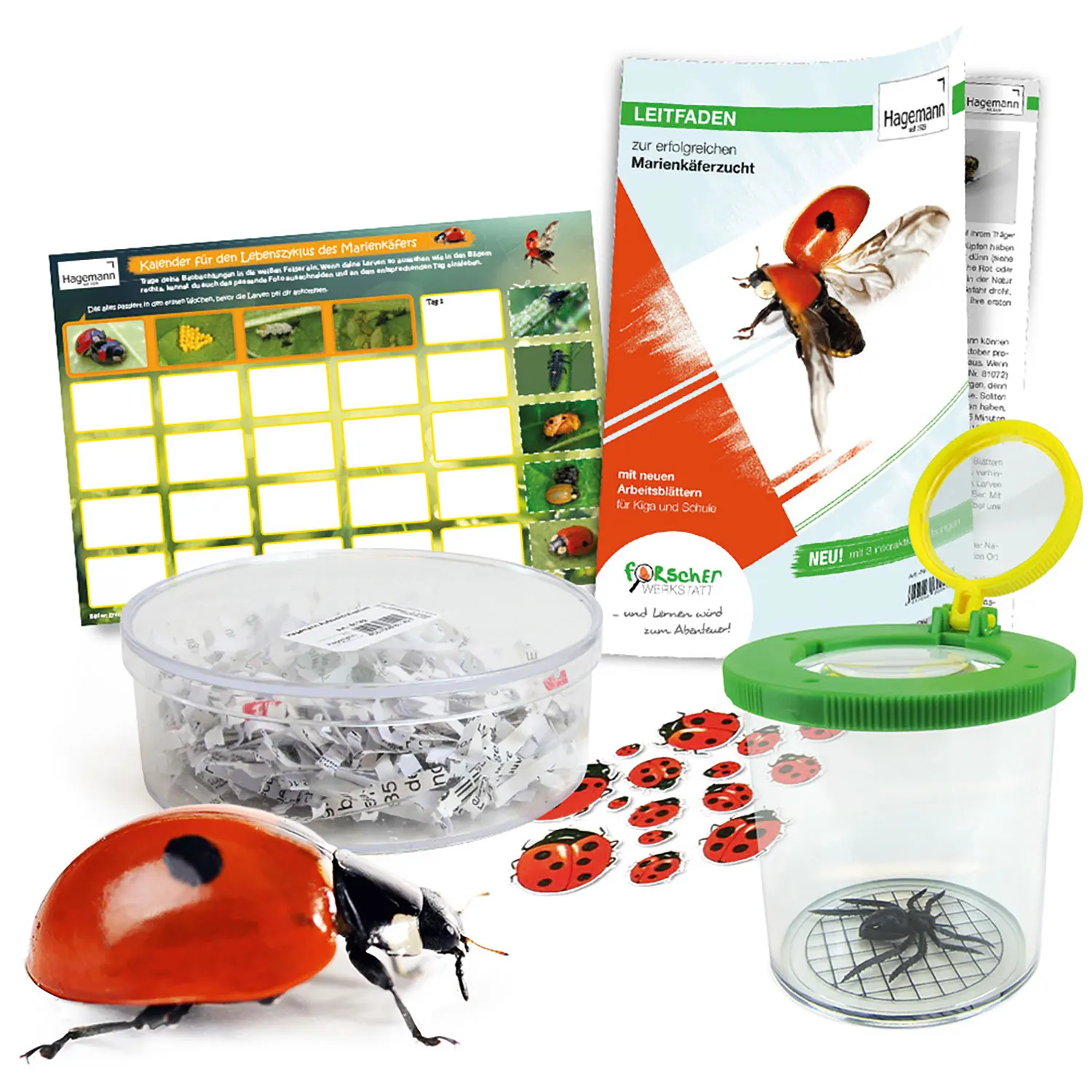 Marienkäfer - Geschenk-Set, Beobachtungs-Set Marienkäfer - Geschenk-Set, Beobachtungs-Set-Hagemann