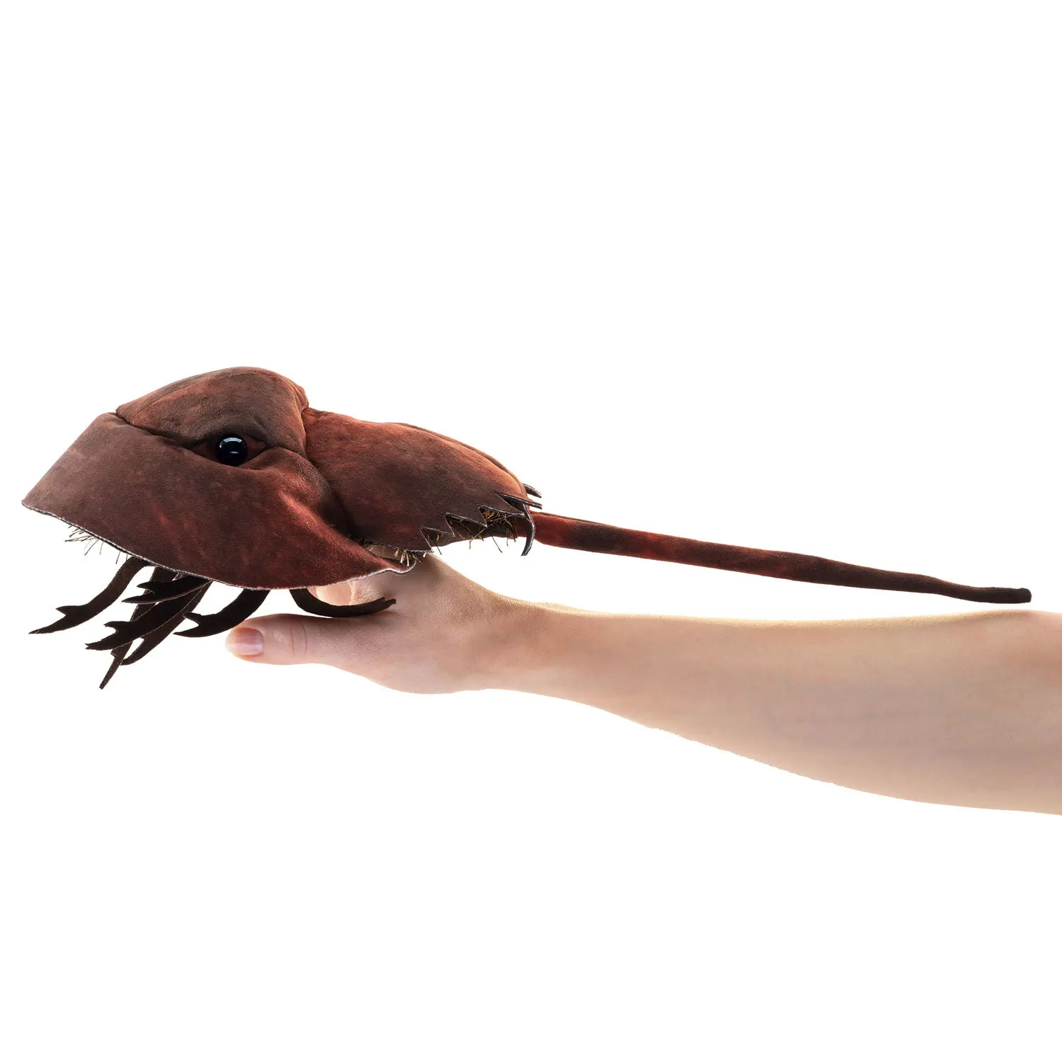 Horseshoe Crab / Pfeilschwanzkrebs-Folkmanis® Puppets