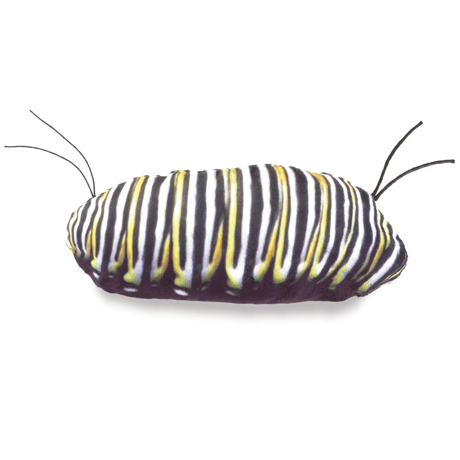 Metamorphose Schmetterling / Monarch Life Cycle - Metamorphose-Folkmanis® Puppets