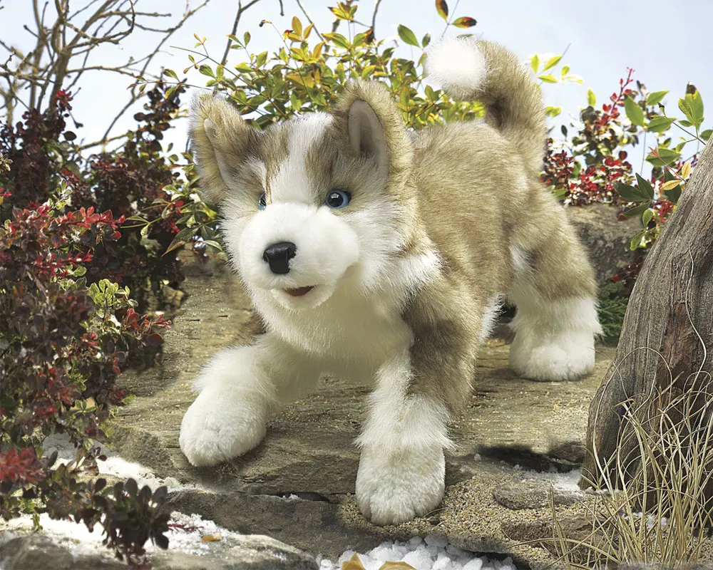 Wolfsjunges / Wolf Pup Wolfsjunges / Wolf Pup-Folkmanis® Puppets