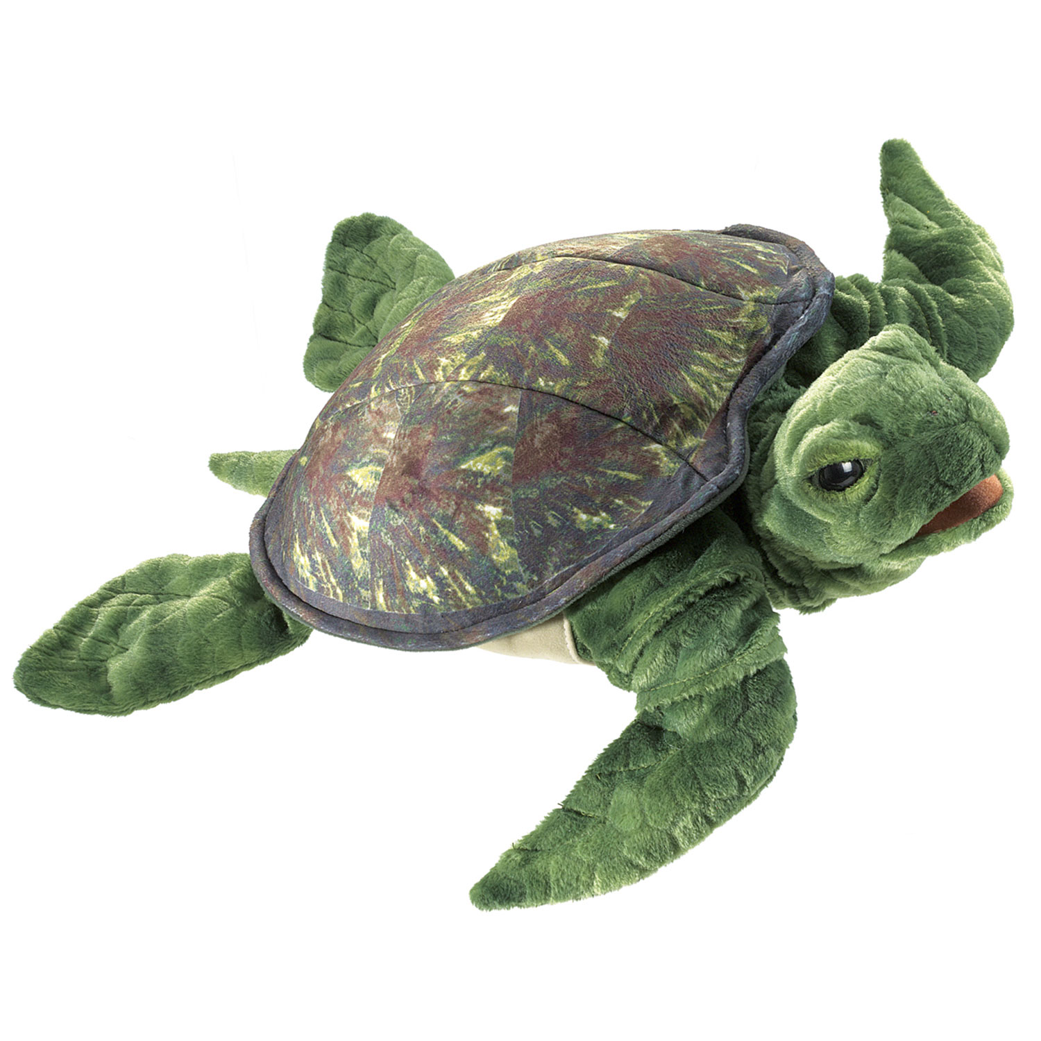 Meeresschildkröte / Sea Turtle