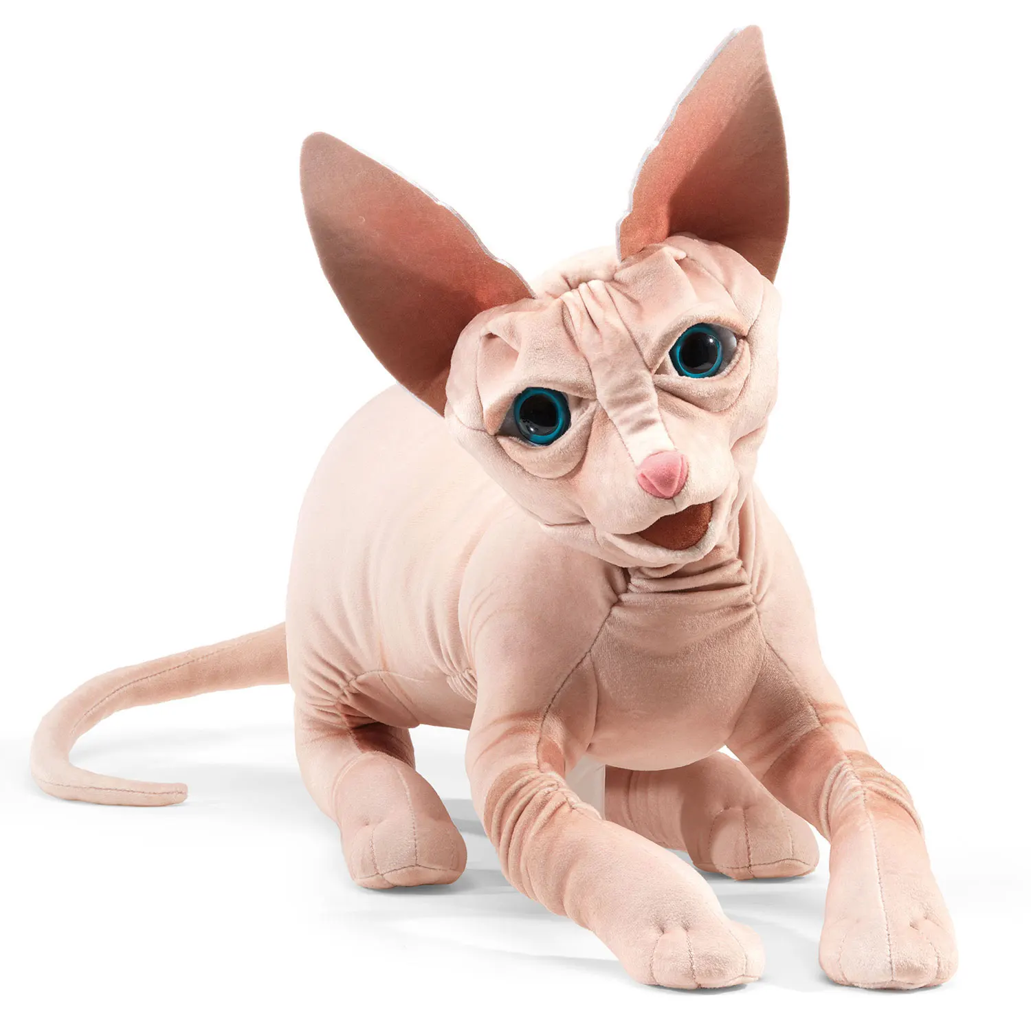 Sphinx Cat