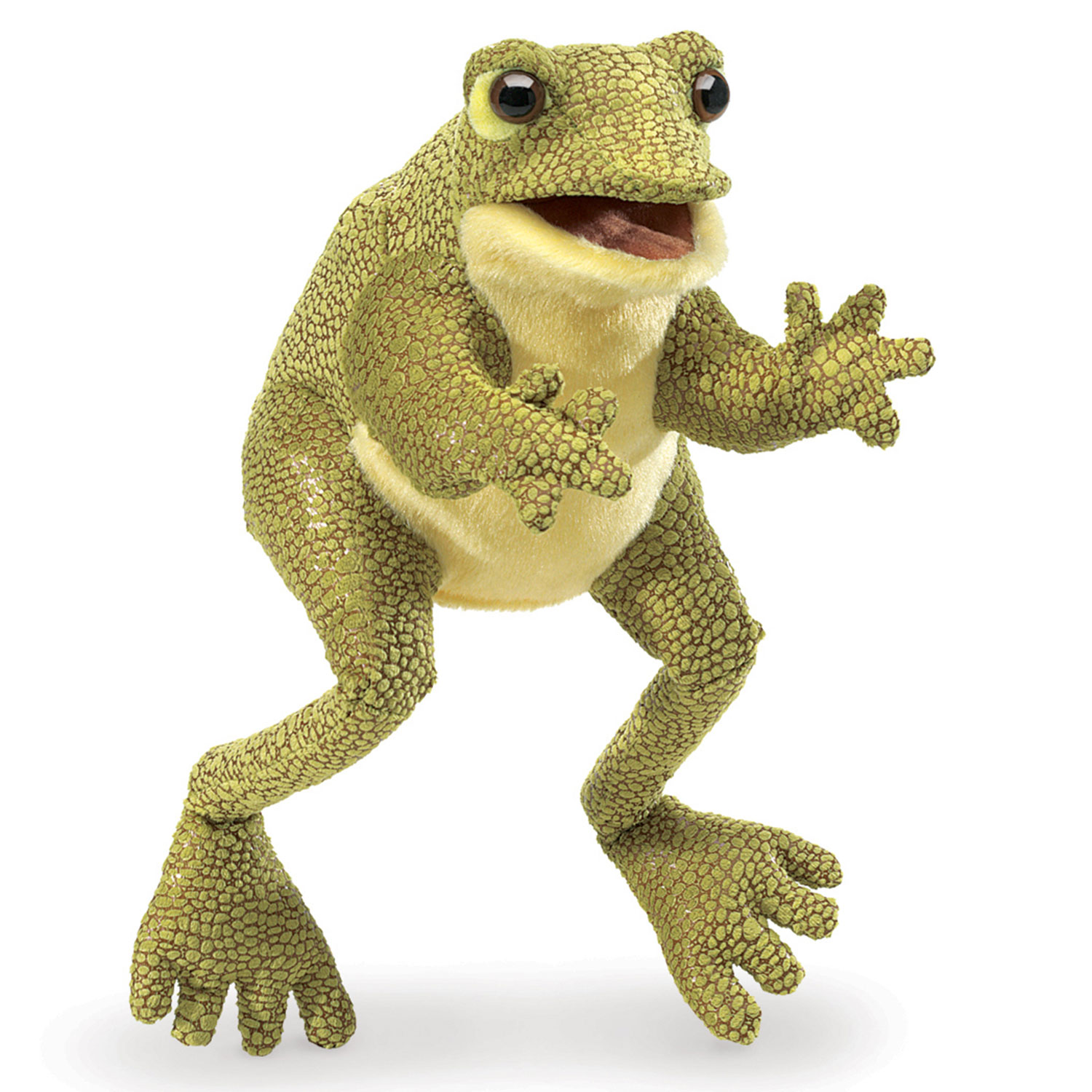 Lustiger Frosch / Funny Frog