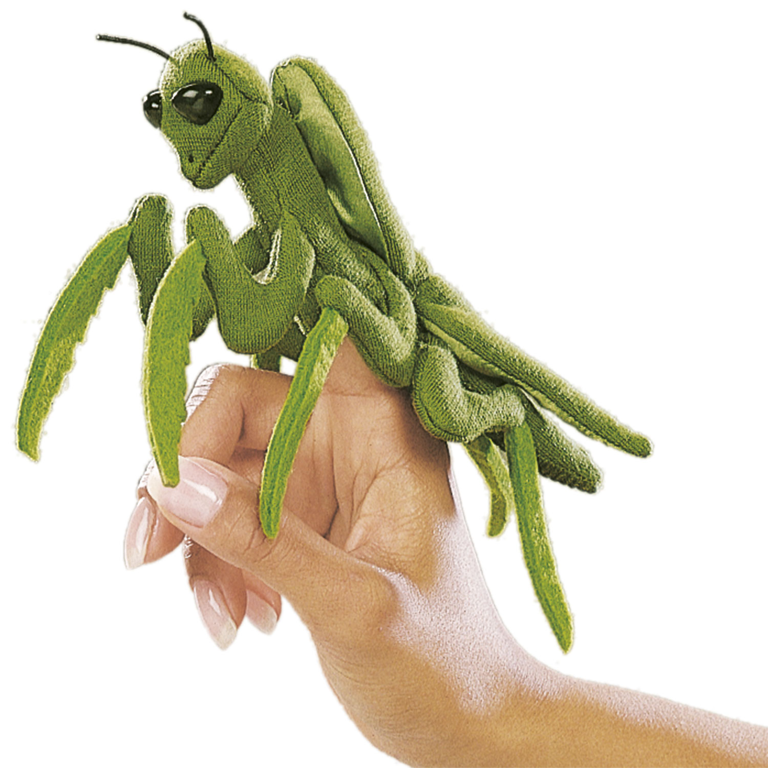 Mini Gottesanbeterin / Mini Praying Mantis