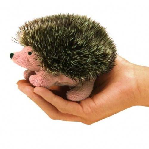 Mini Hedgehog